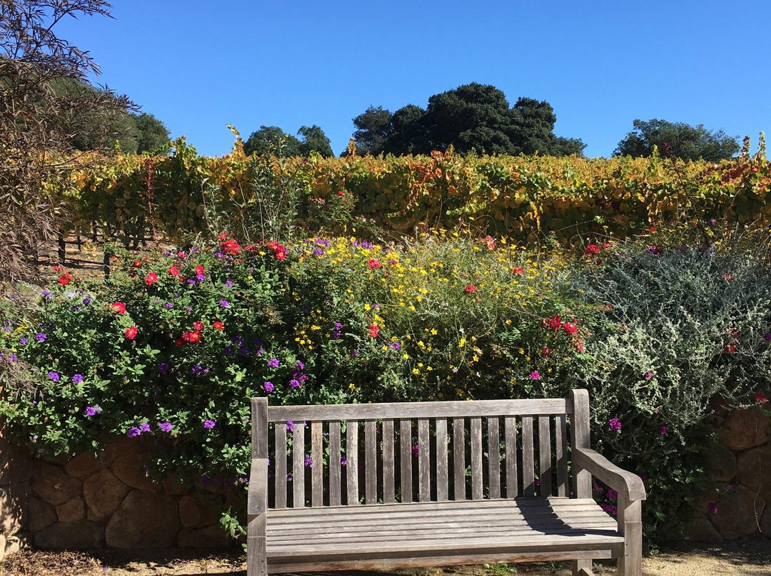 North Bay Winery Tours-Rohnert Park必去景点