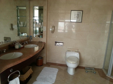 国贸(逸豪)大酒店主图