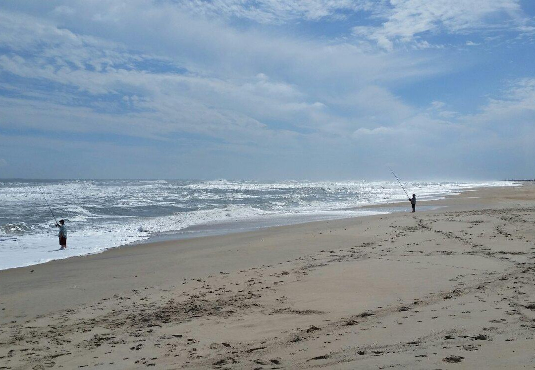 Salvo Beach景点图片