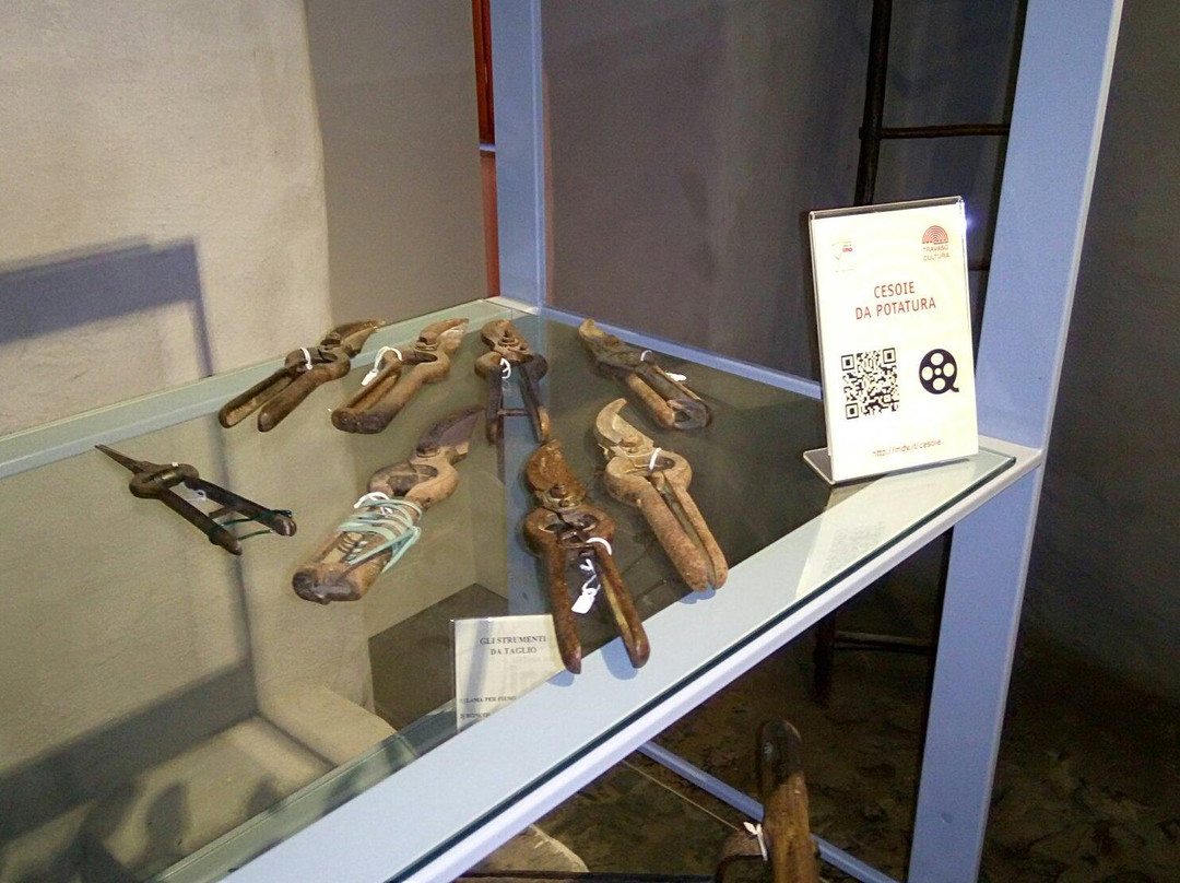 Diffused Museum of Wine-Monte Porzio Catone必去景点