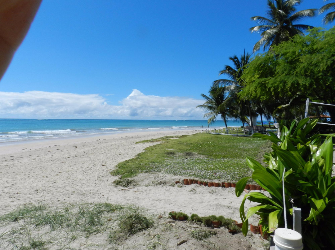 Campas Beach-Tamandare必去景点
