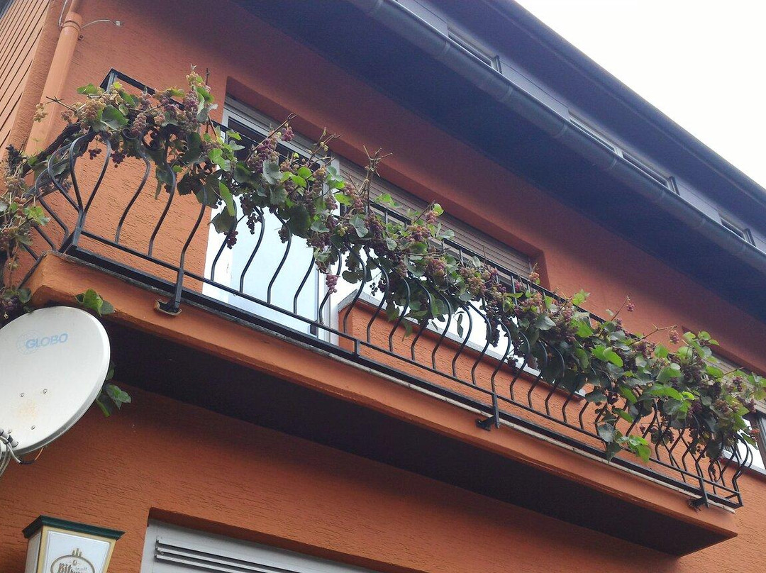 Hotel Moselblick主图