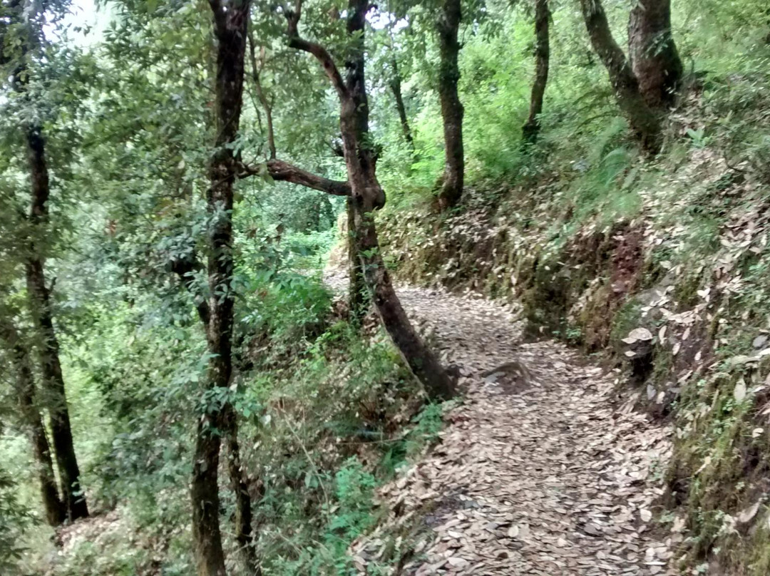 Chadwick Falls景点图片