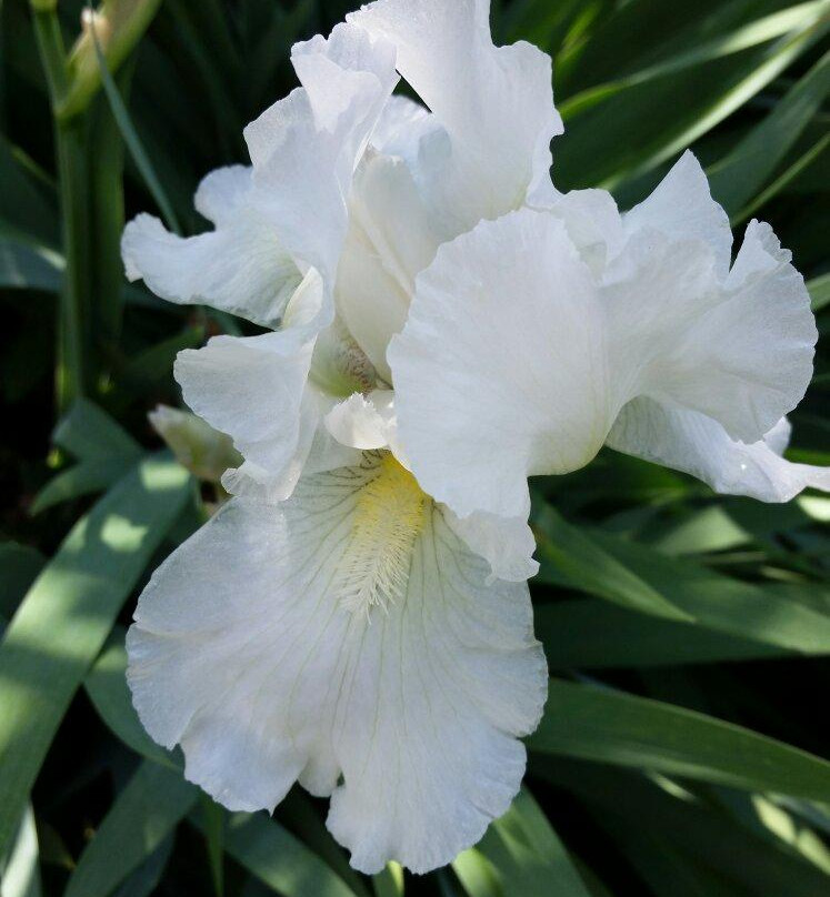 Gordon-Roberts House-Cumberland必去景点