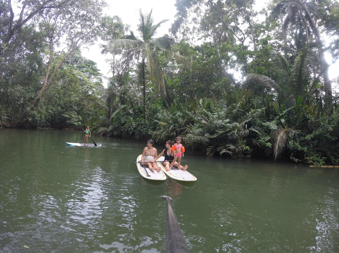 Green Water SUP Tours-Punta Uva必去景点