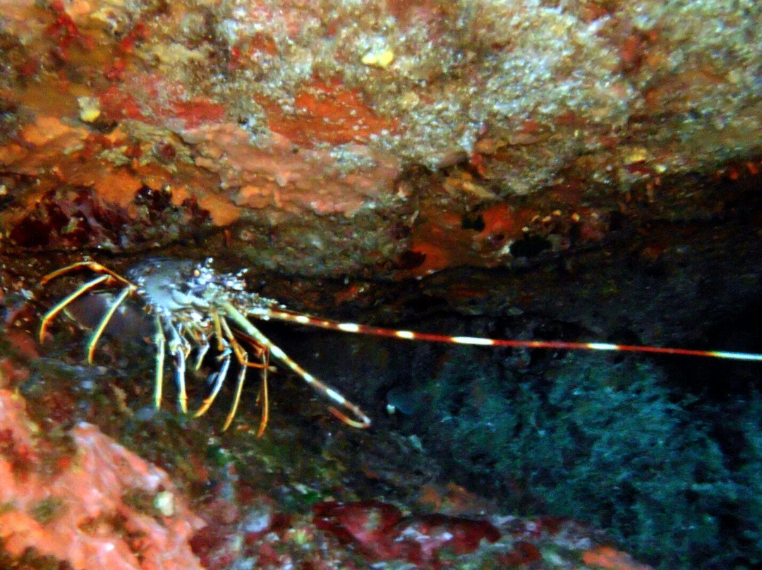Pula Diving Center-普拉必去景点