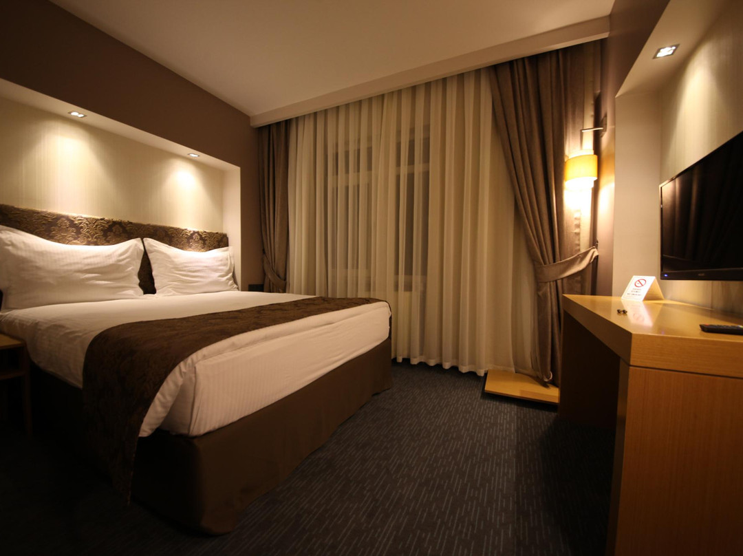 Sapci Prestige Hotel主图