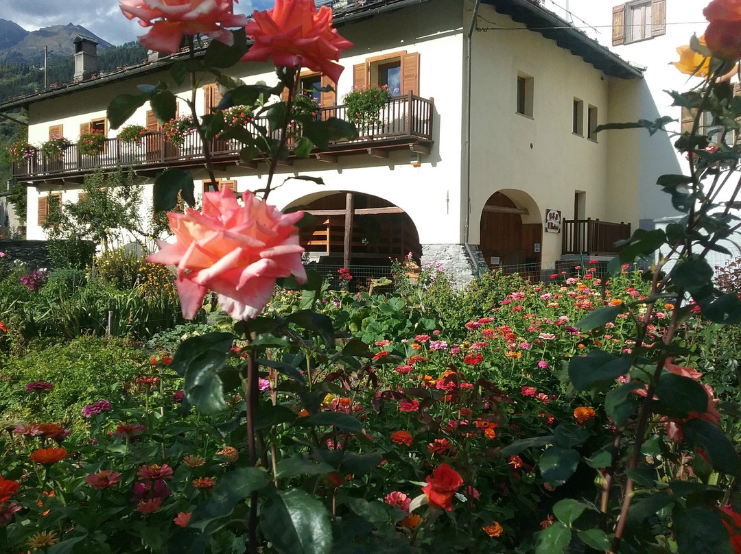 B&B Il Portico主图