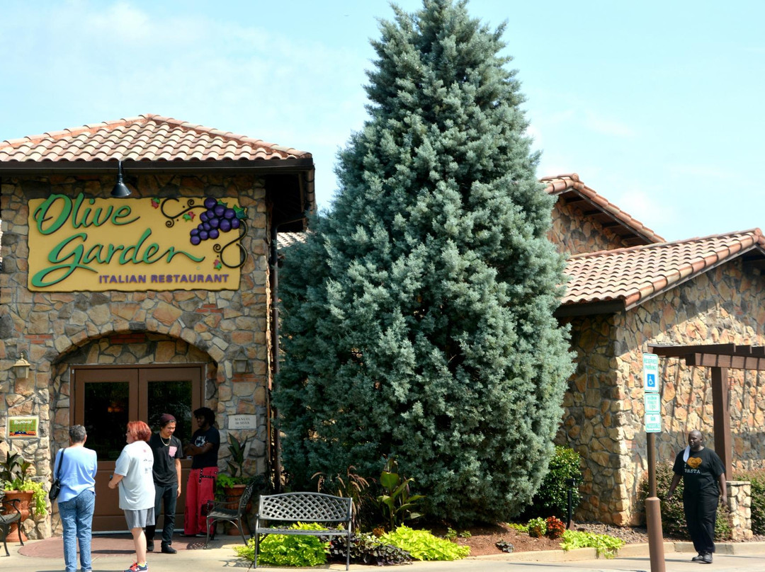 Olive Garden Italian Restaurant