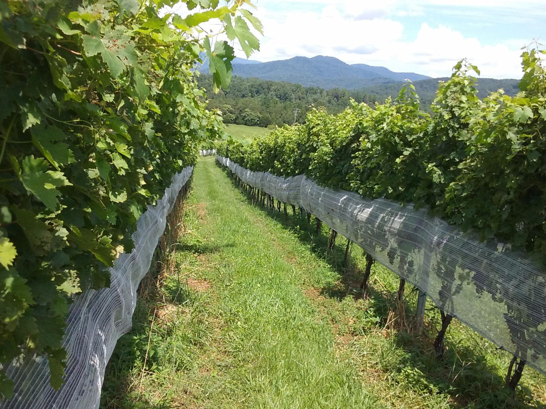 Stinson Vineyards-Crozet必去景点