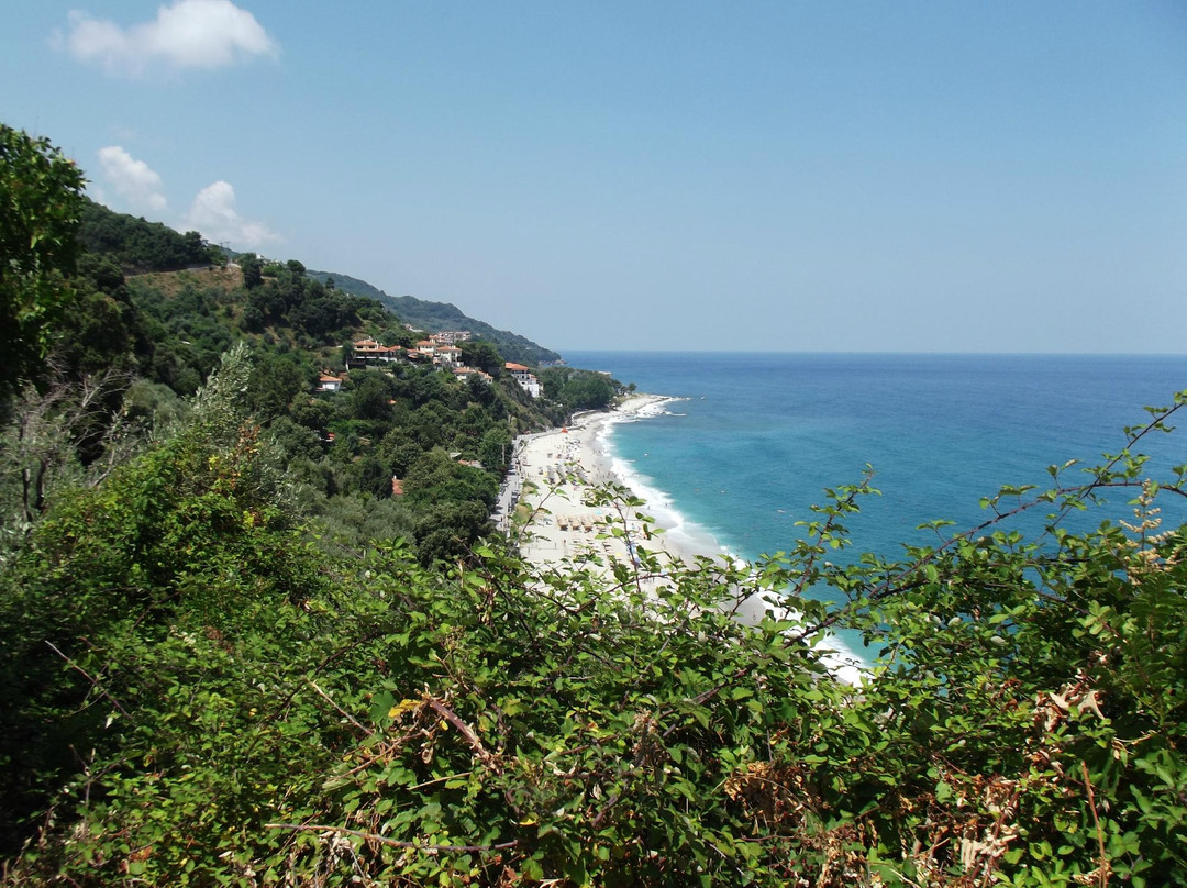 Papa Nero旅游攻略图片