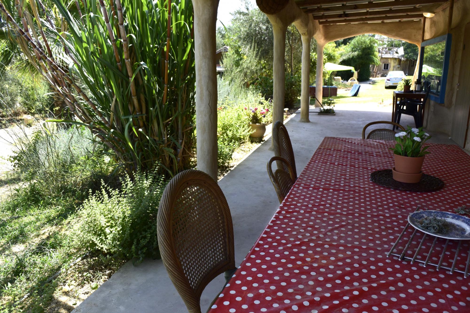 Dutch Farm Israel-餐饮
