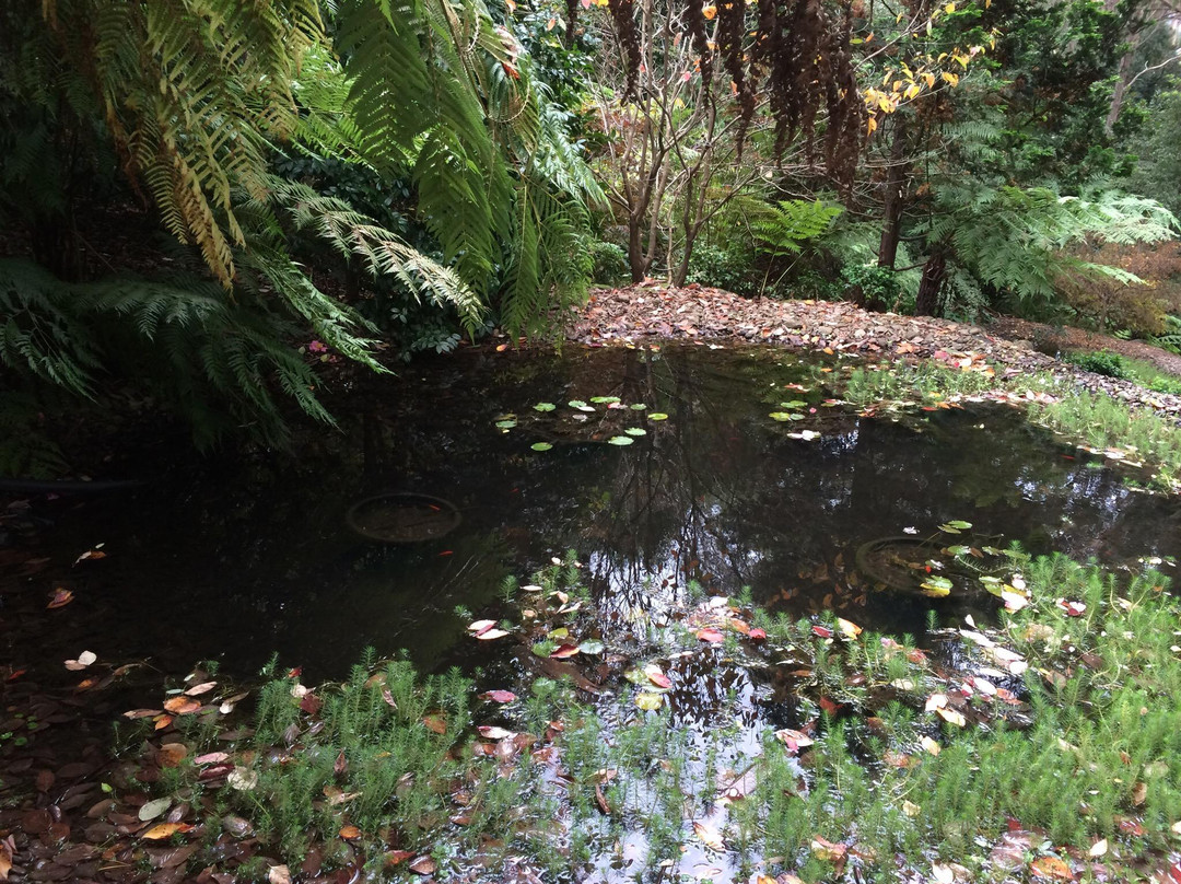 Wildwood Gardens景点图片