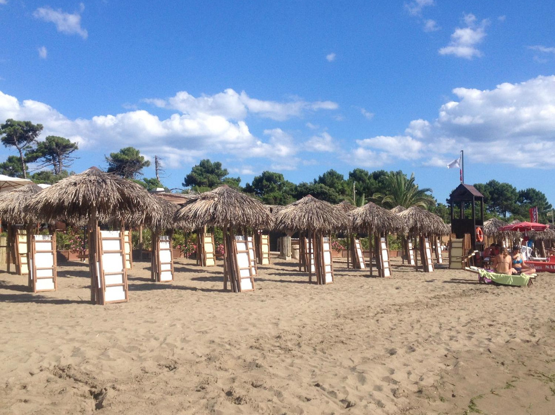 Florida Beach Club景点图片