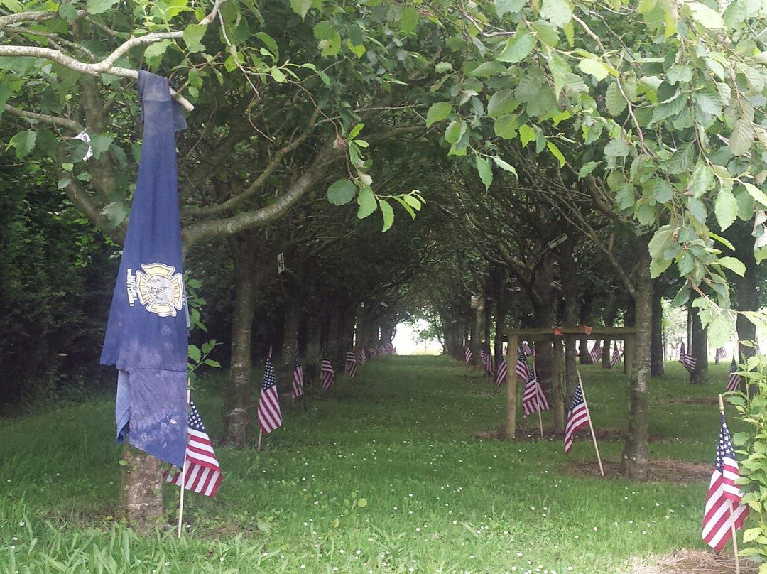 Ringfinnan Garden of Remembrance-金塞尔必去景点