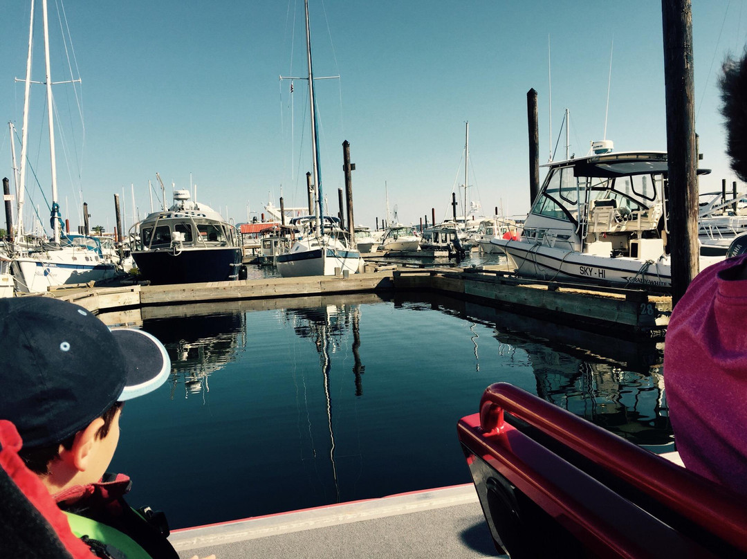 Campbell River Whale Watching and Adventure Tours-坎贝尔里弗必去景点