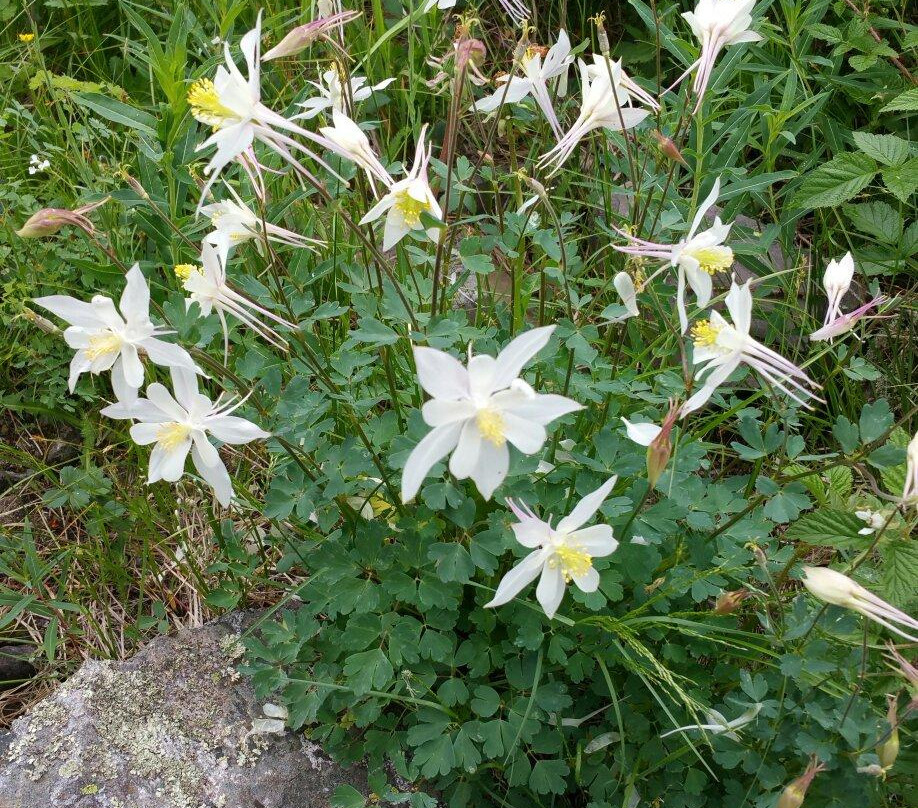 East Maroon Trail-阿斯蓬必去景点