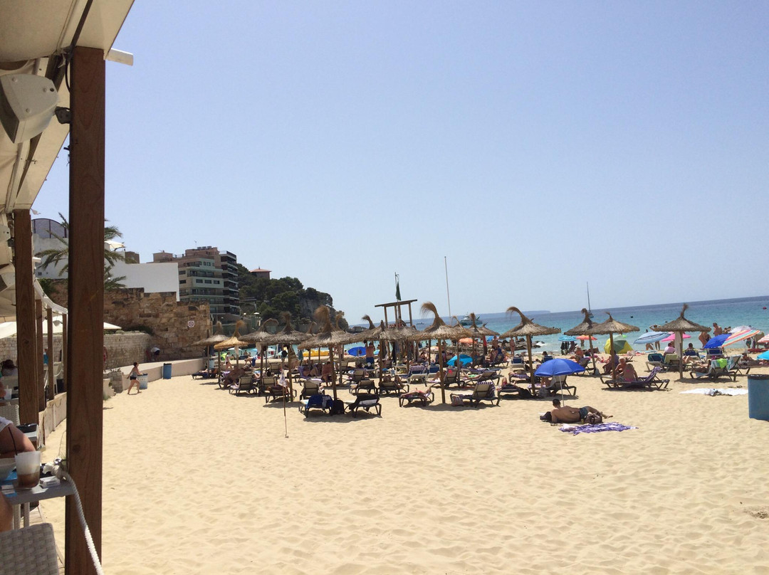 Playa de Cala Mayor景点图片