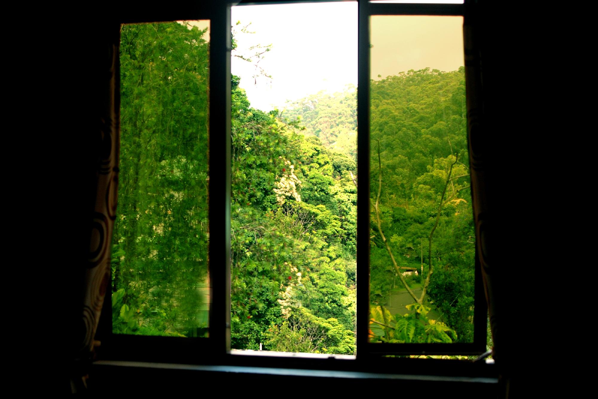 Je's Homestay-酒店景观