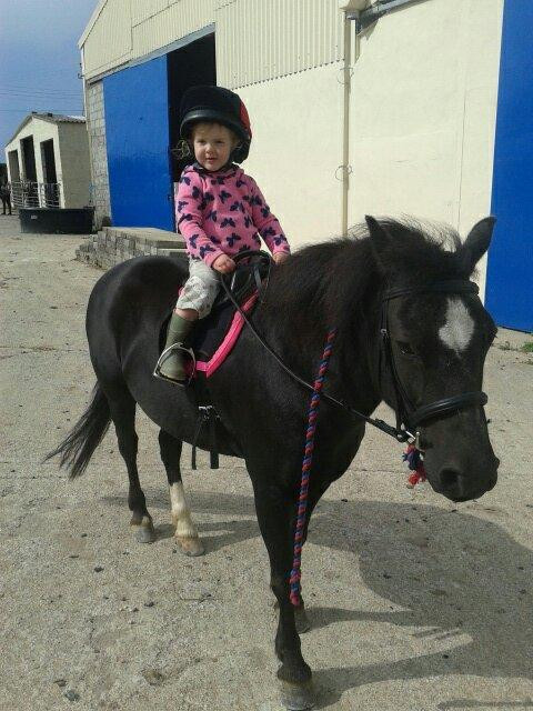 Newton Equestrian Holidays-Mullion必去景点