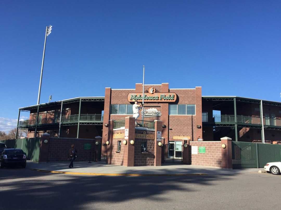 Melaleuca Field-爱达荷福尔斯必去景点