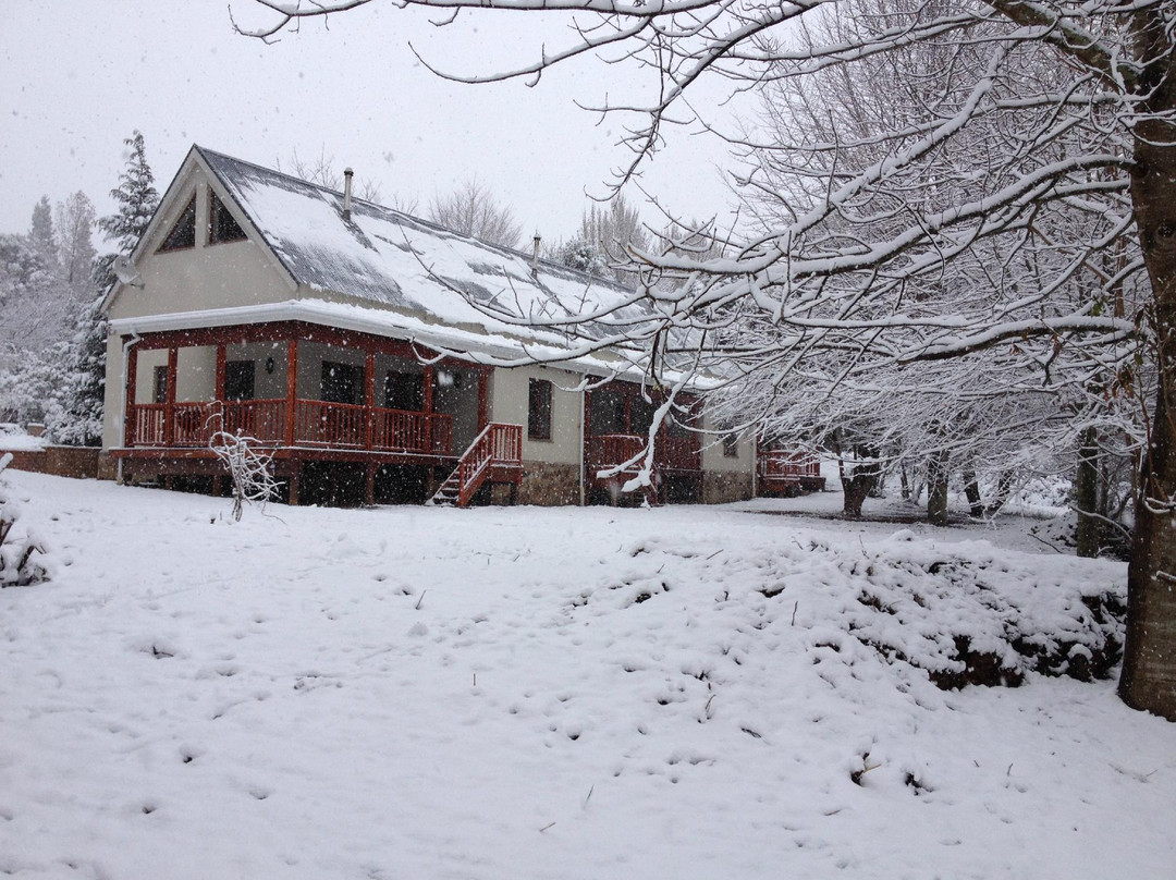 Alice酒店住宿-Laragh-on-Hogsback Cottages