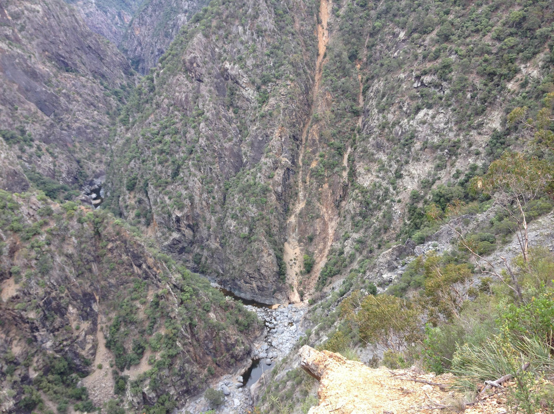 Wollomombi Falls景点图片