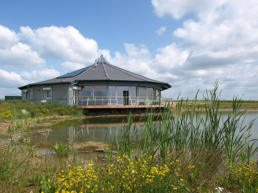 Abberton Reservoir Visitor Centre景点图片