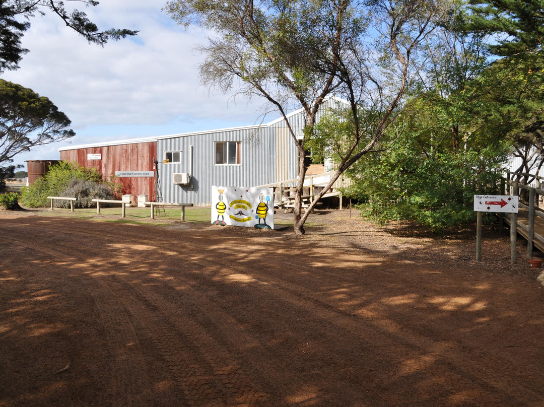 Clifford's Honey Farm-金斯科特必去景点