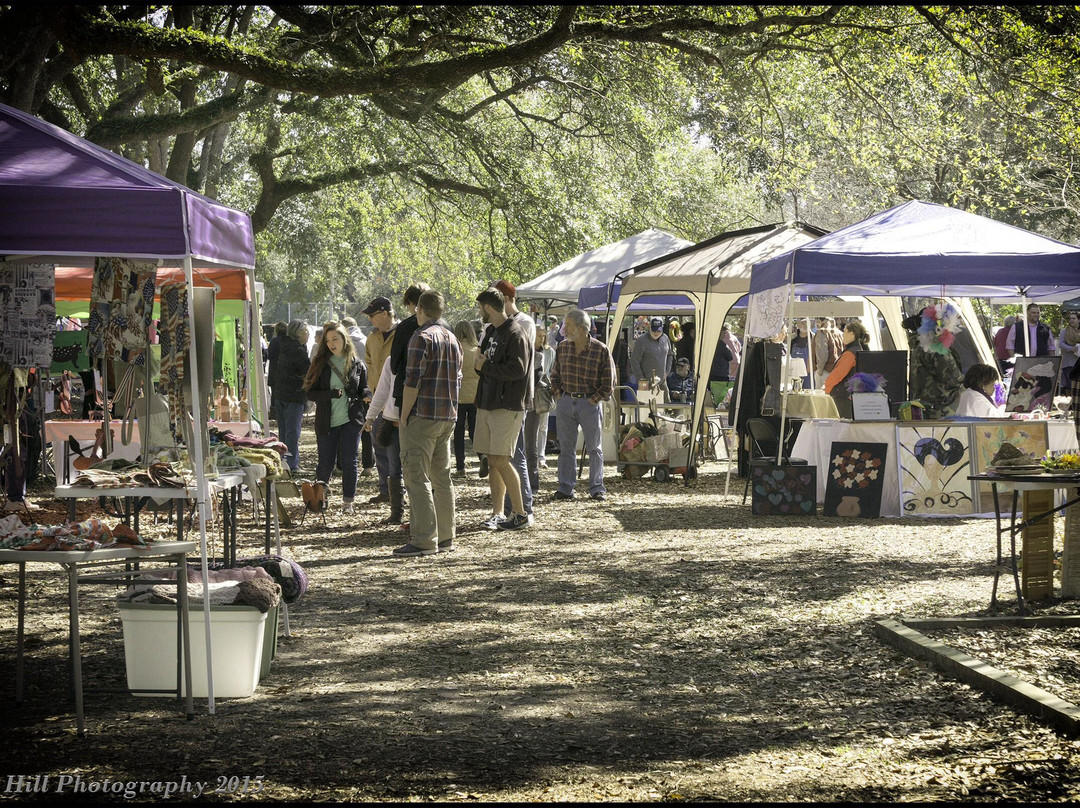 Tift Park Community Market-奥尔巴尼必去景点