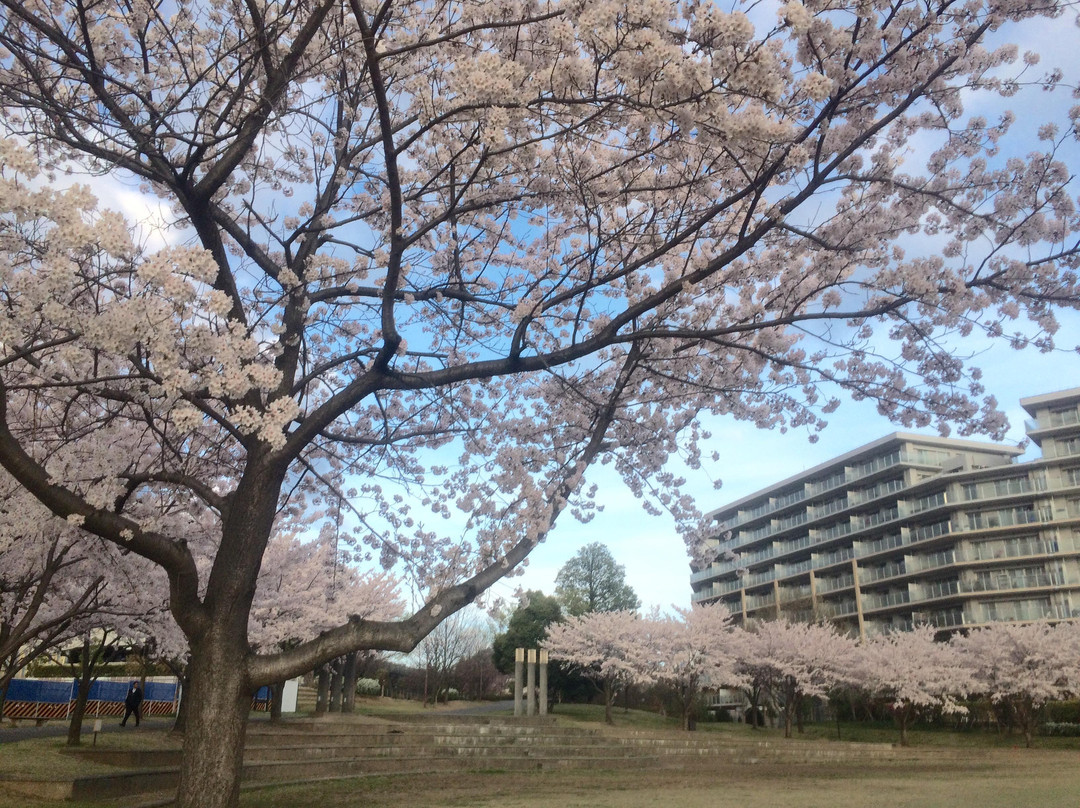 Wakabadai Park-稻城市必去景点