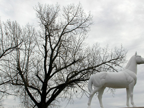 White Horse Monument-Saint Francois Xavier必去景点