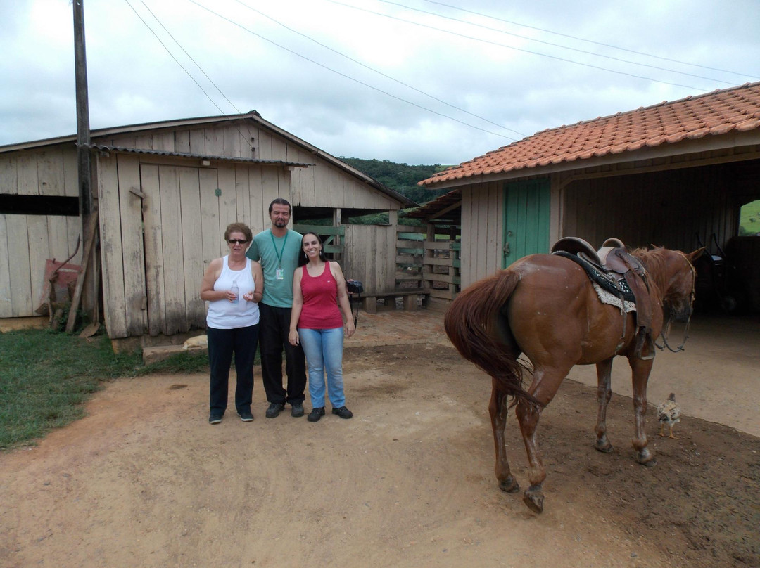 Adventurous Friends-圣保罗必去景点