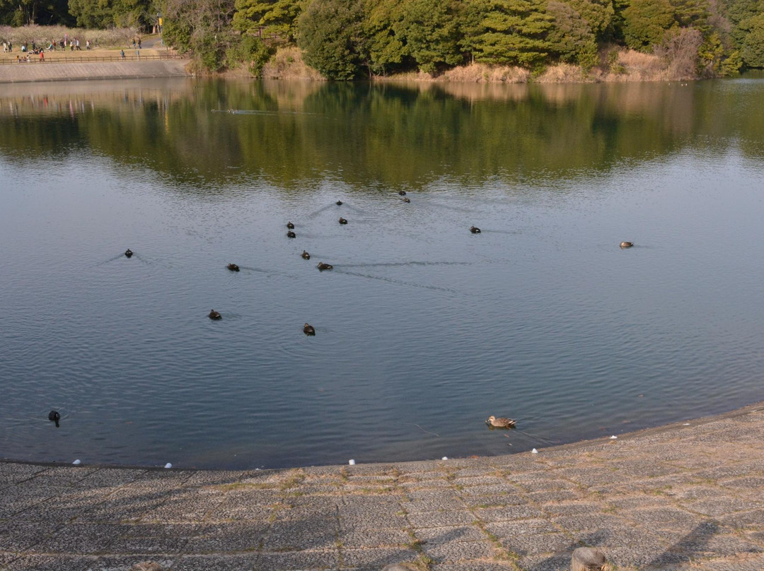 Sori Pond景点图片