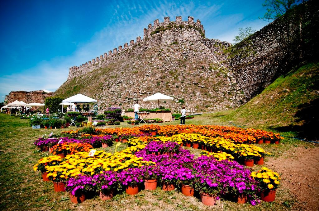 洛纳托德尔加尔达旅游攻略图片