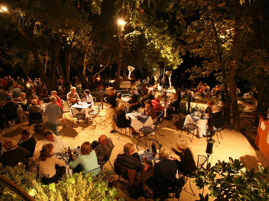 Pilot Peak Vineyard & Winery-Penn Valley必去景点