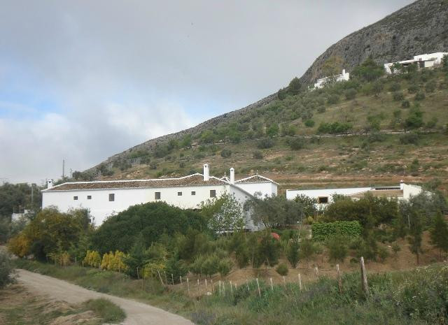 Molino de las Pilas主图
