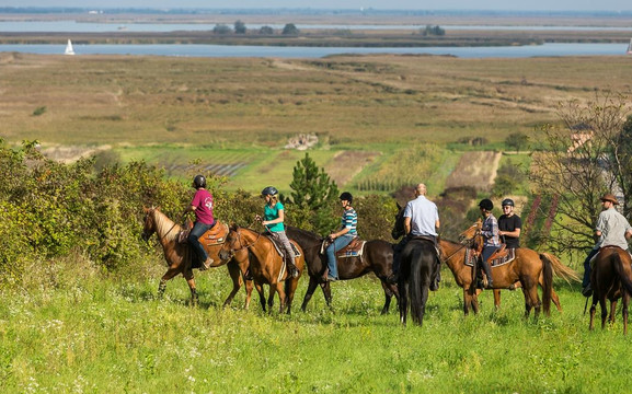 Golden View Ranch-Mörbisch必去景点