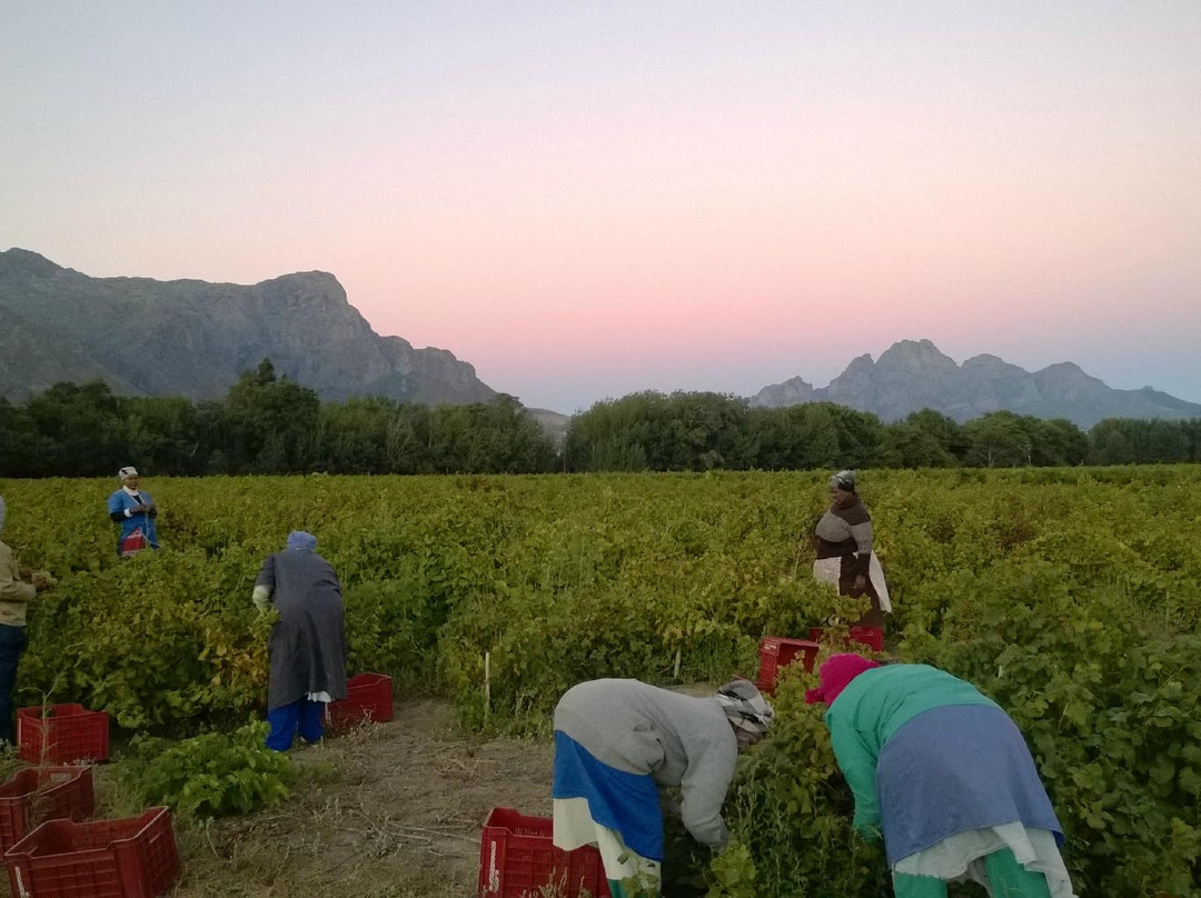 Eikehof-法兰舒克必去景点