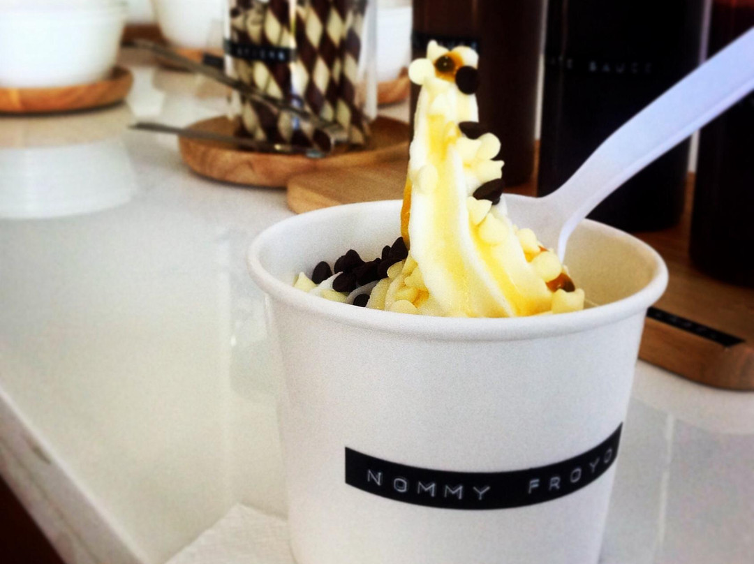 Nommy Frozen Yoghurt