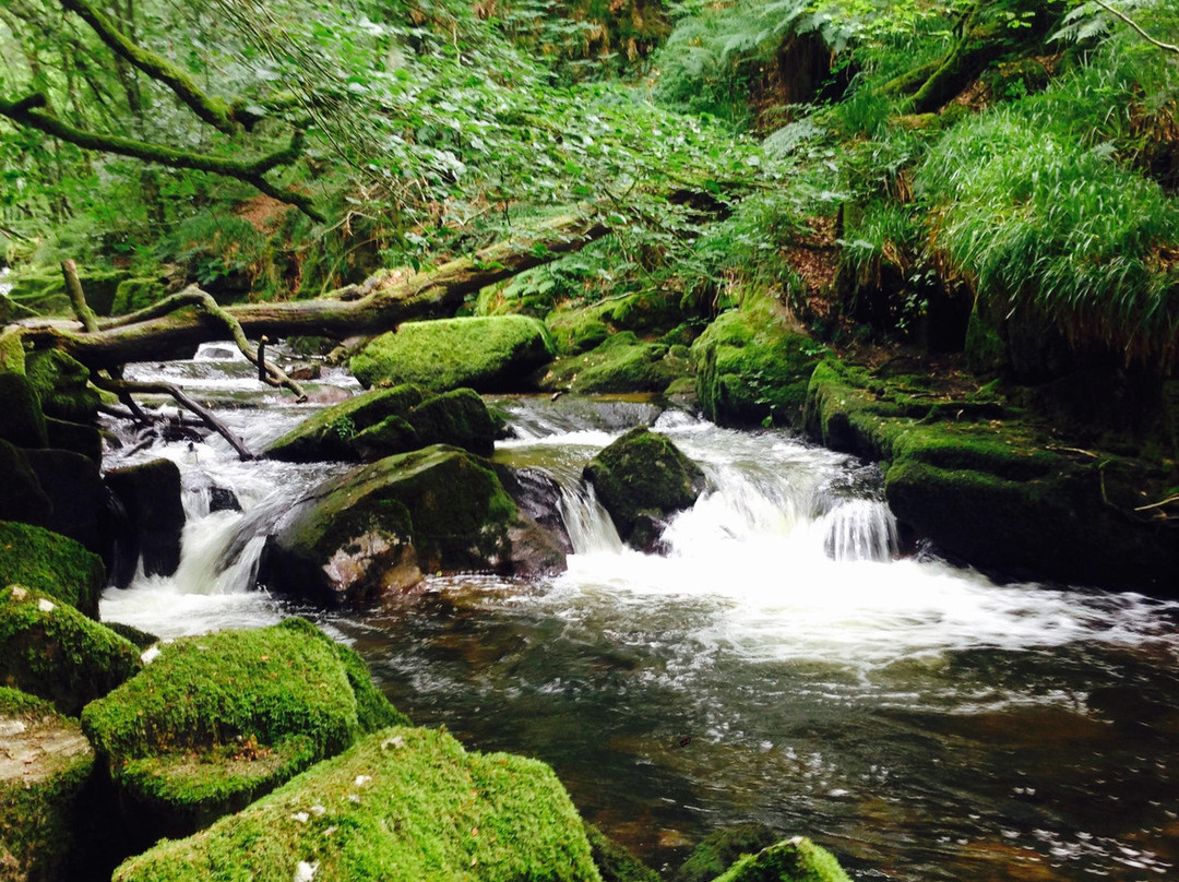Golitha Falls-利斯卡德必去景点