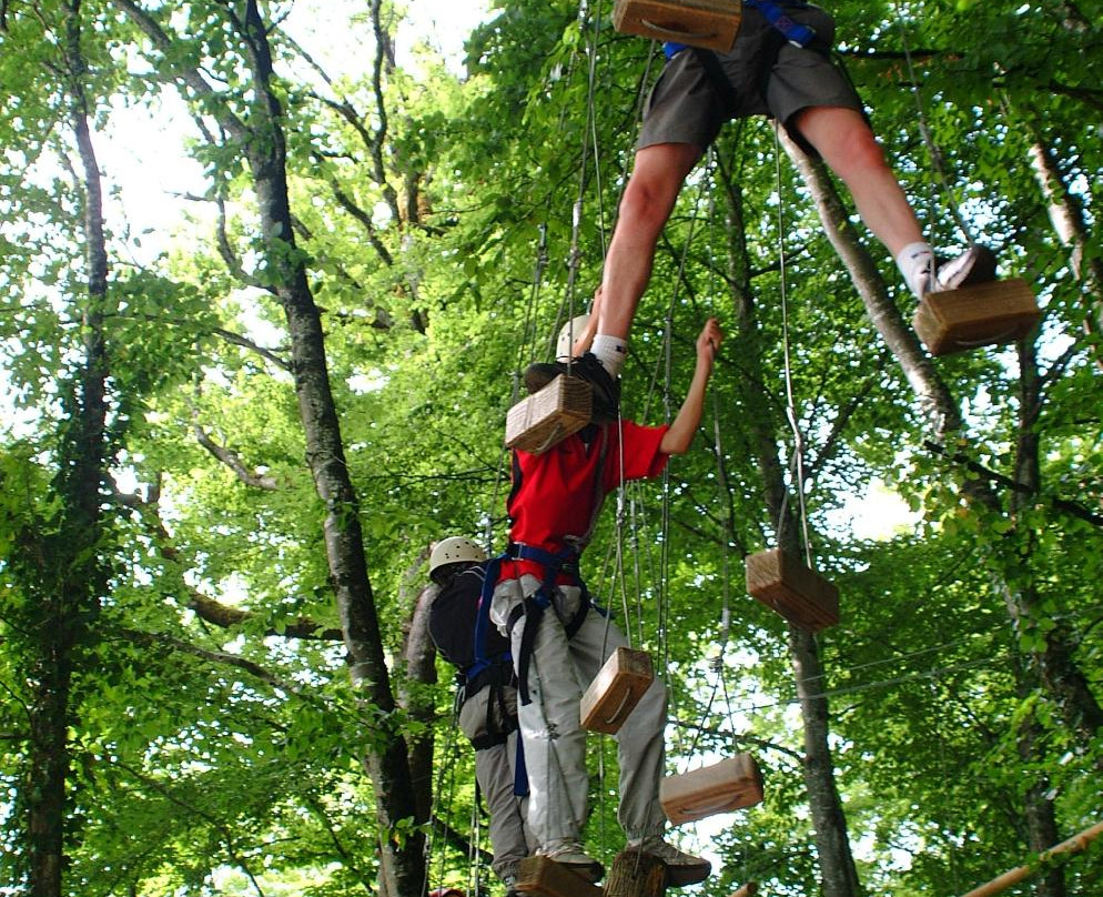 Jura Monkey Forest景点图片
