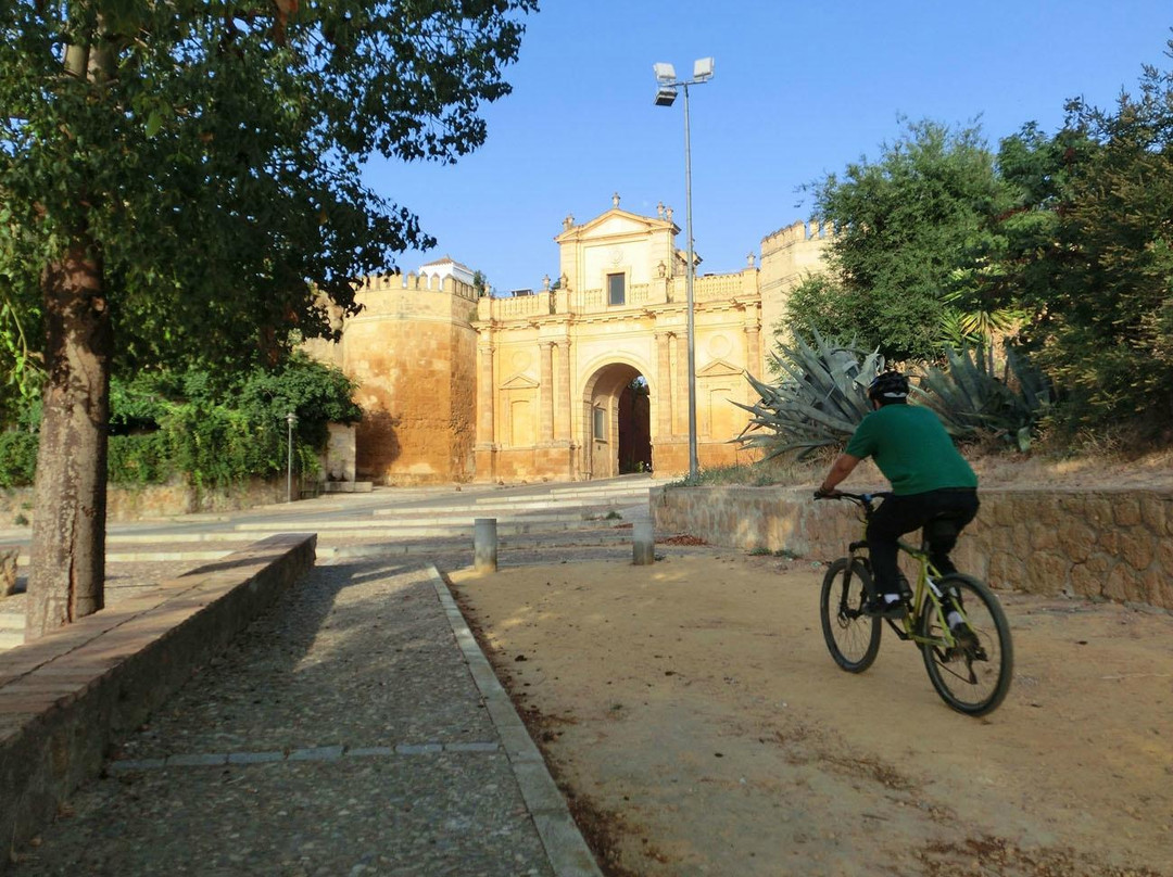 Carmona Bike Tours-卡莫纳必去景点