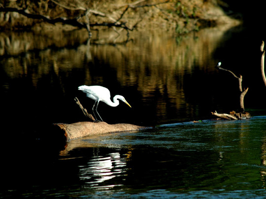 Parque Estadual Do Cantao-Caseara必去景点