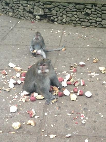 Bali Budha Tours-吉安雅必去景点