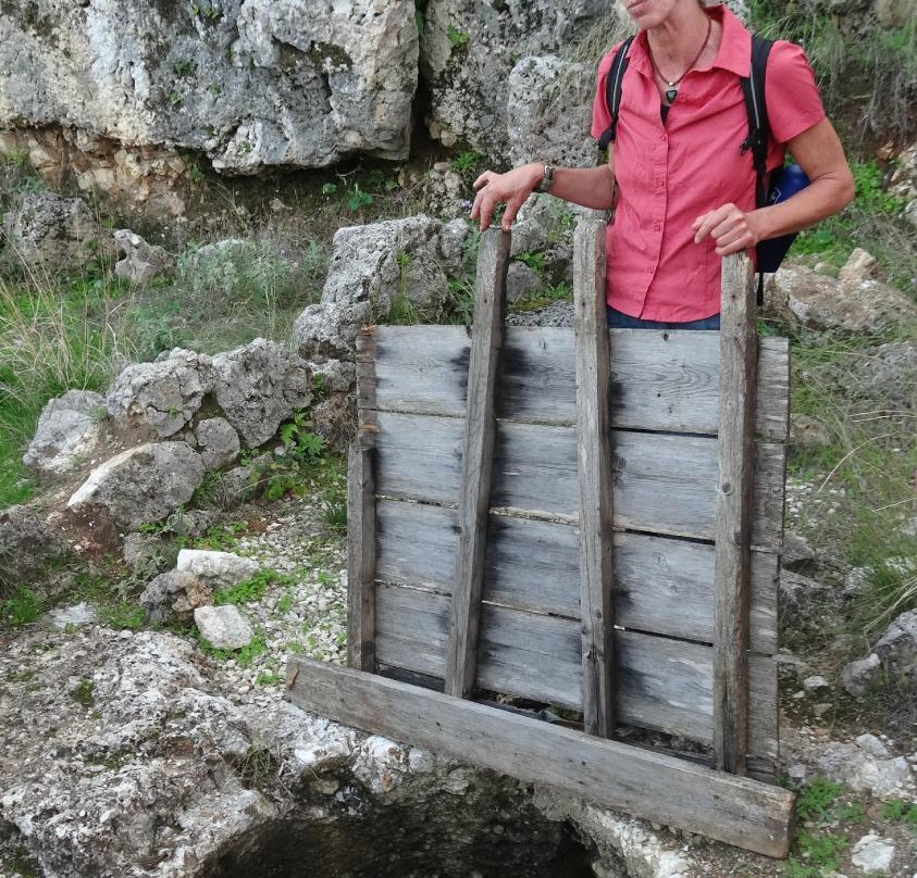 Words & Walks-Ithaca必去景点