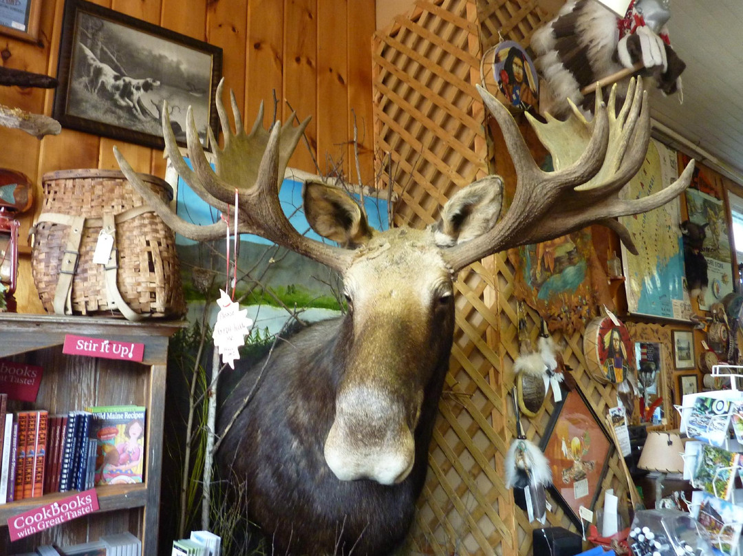 Moosehead Lake Indian Store at Kamp Kamp景点图片