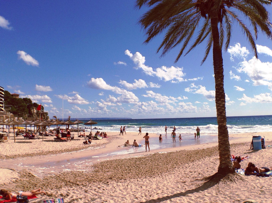 Playa de Cala Mayor景点图片