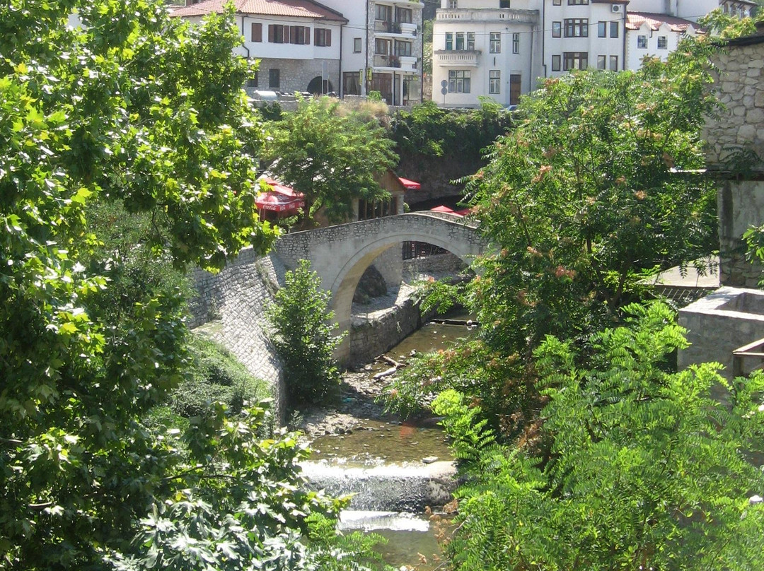 Radoblja River景点图片