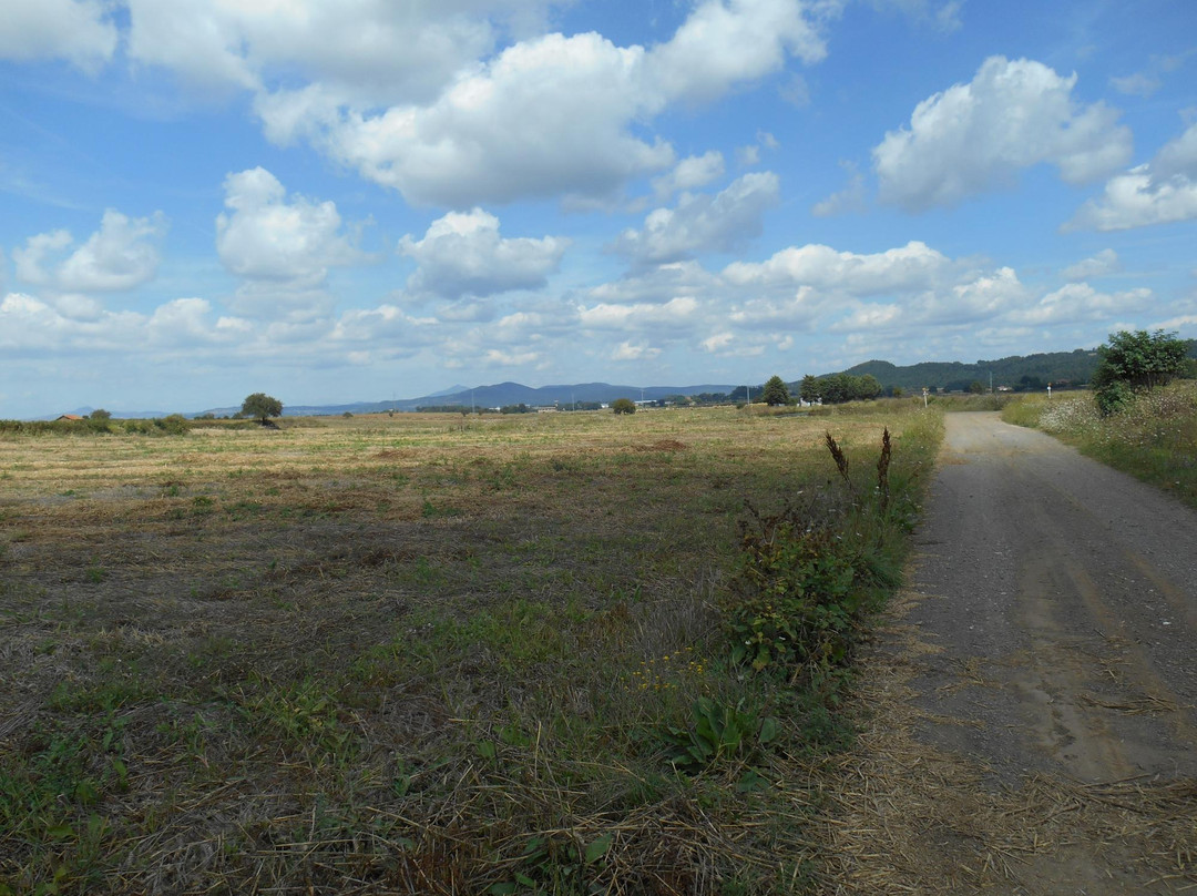 A Pilgrims' Way-博尔塞纳必去景点